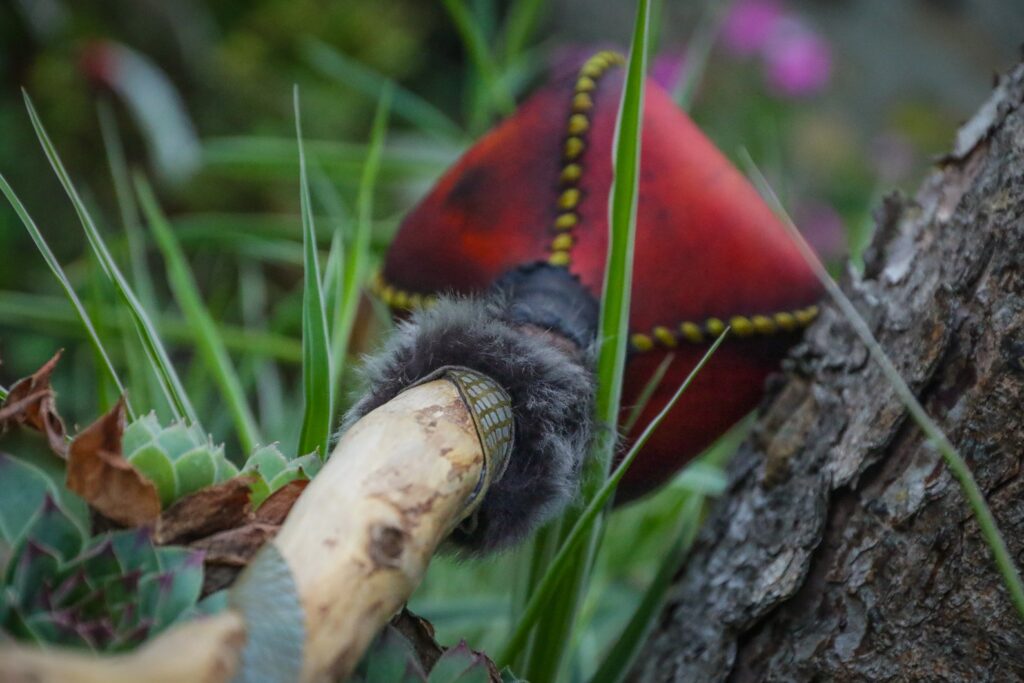 Snake Rattle - Image 4