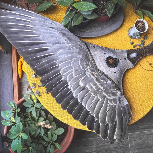 Unique 30" Swan Goose (Anser Cygnoides) Wing Smudge Fan